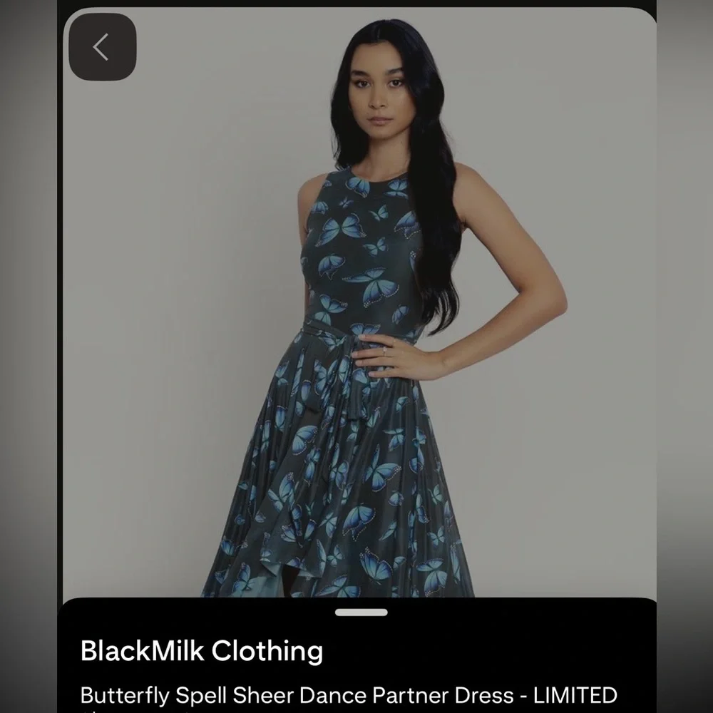 Blackmilk Butterfly Spell Sheer Dance Partner Dress High Low Dress L NWT - Picture 5 of 5